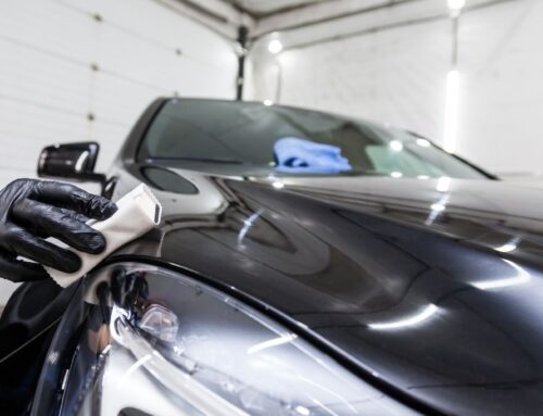 Paint Protection Near Me: Top-Rated Services
